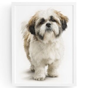 Watercolor Shih Tzu Dog Portrait Wall Art Print Poster Unframed - Pet Artwork
